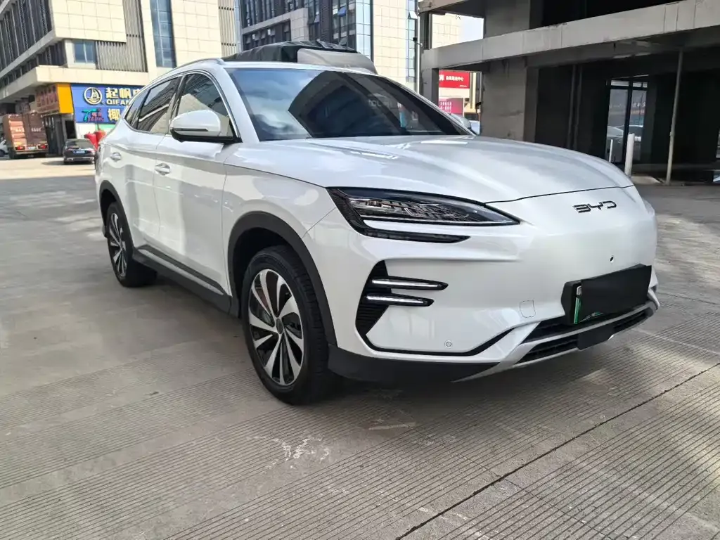 BYD PLUS New Energy 2024 из CN, фото 3