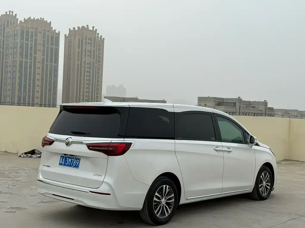 Buick GL8 2024 из CN, фото 4