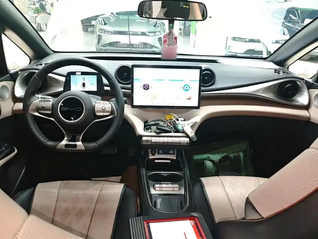 [object Object] Dolphin 2024 из CN, фото 10