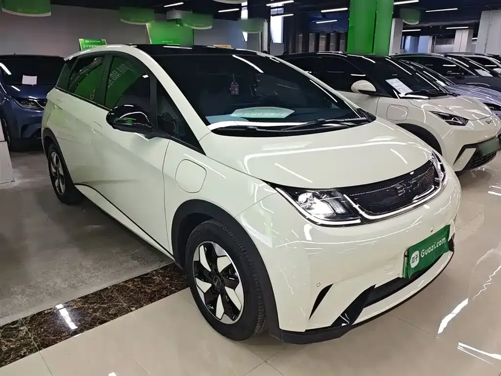 [object Object] Dolphin 2024 из CN, фото 4