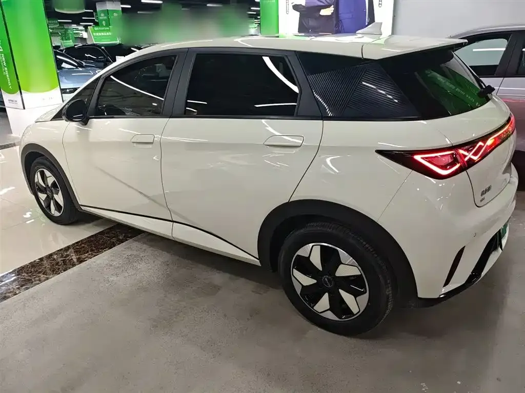 [object Object] Dolphin 2024 из CN, фото 5