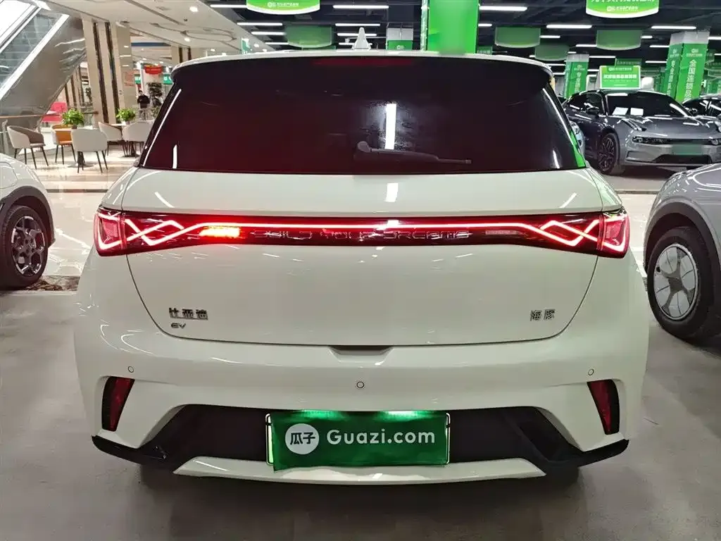 [object Object] Dolphin 2024 из CN, фото 6