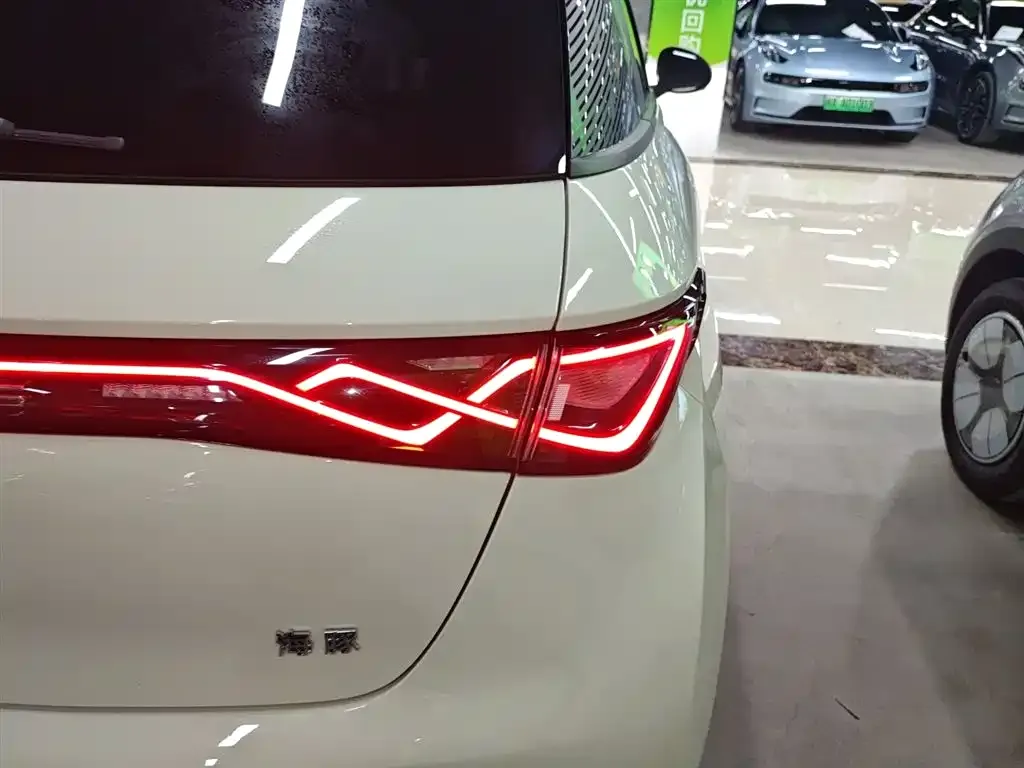 [object Object] Dolphin 2024 из CN, фото 8