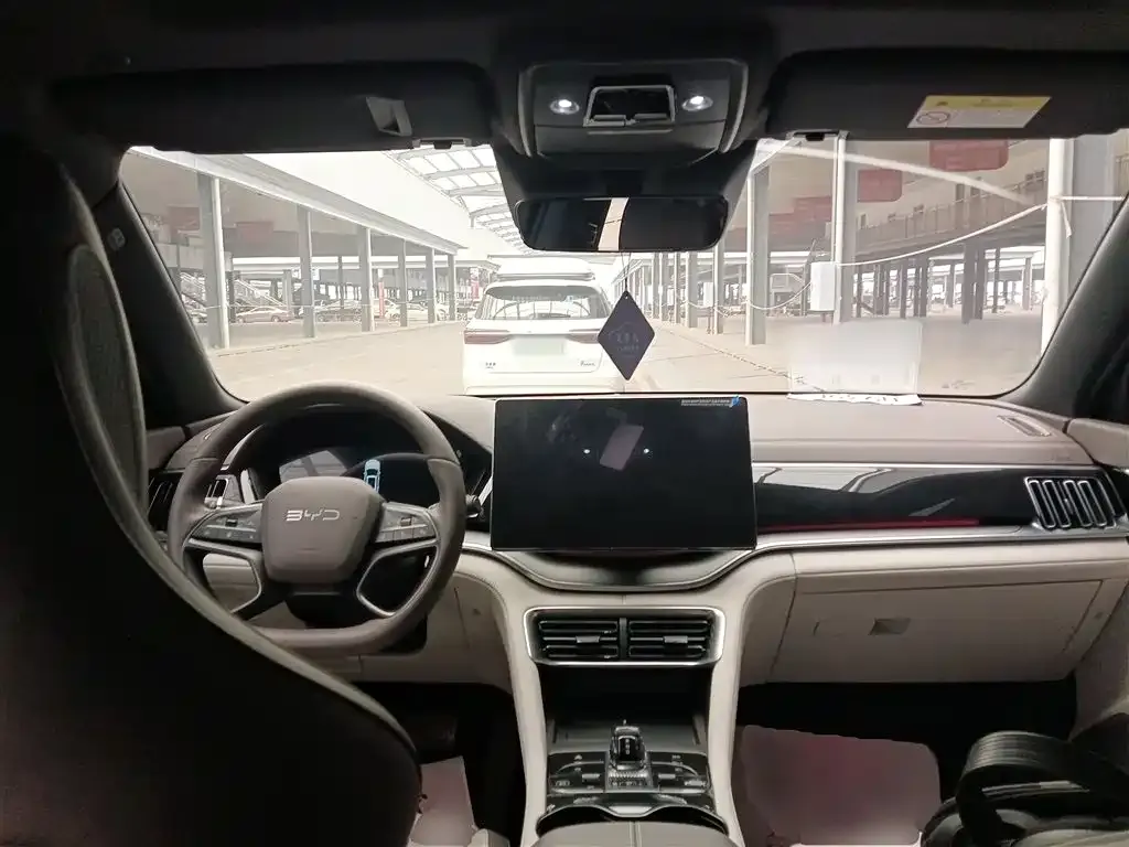 BYD PLUS New Energy 2025 из CN, фото 4