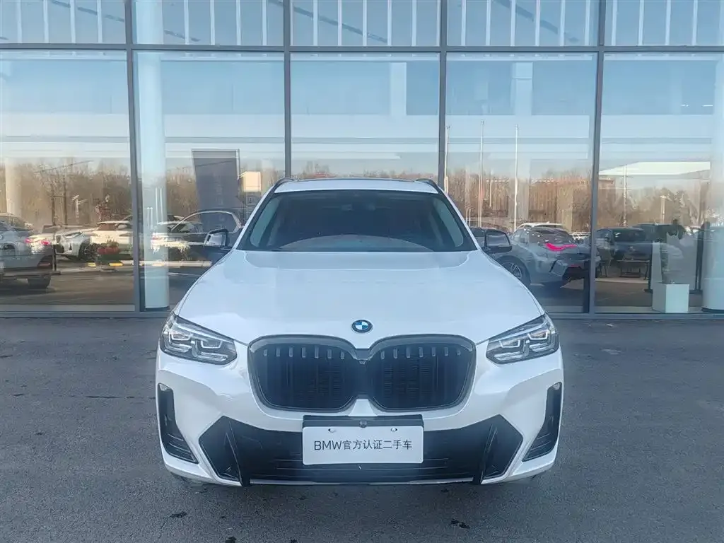 BMW X3 2022 из CN, фото 7