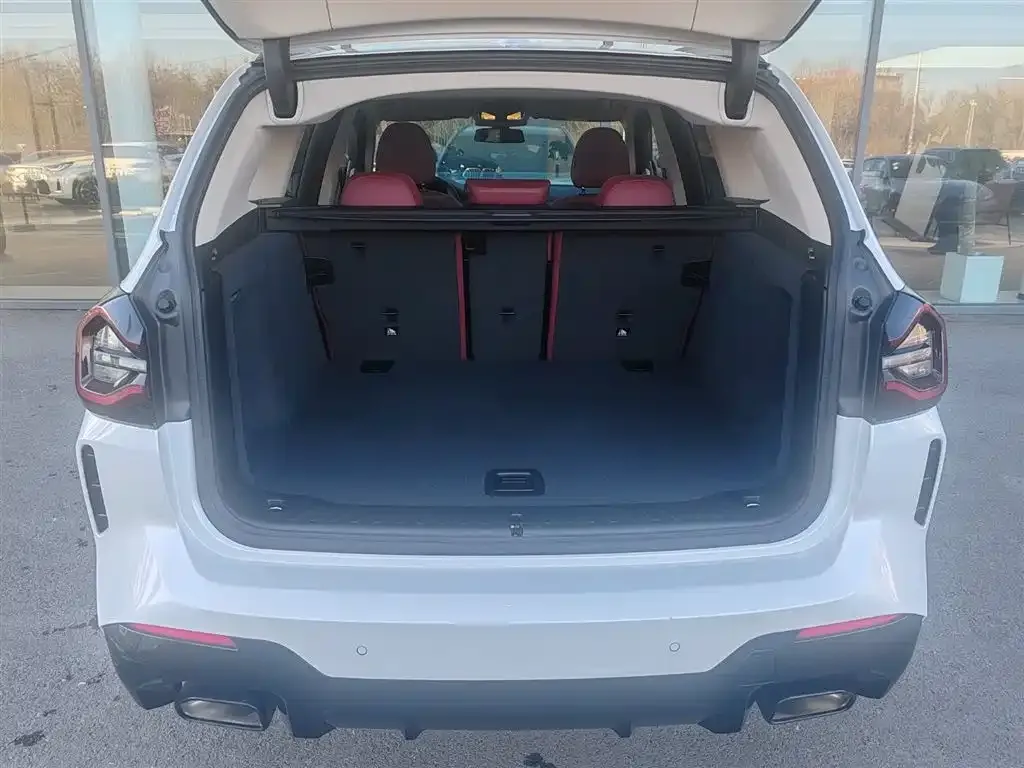 BMW X3 2022 из CN, фото 9
