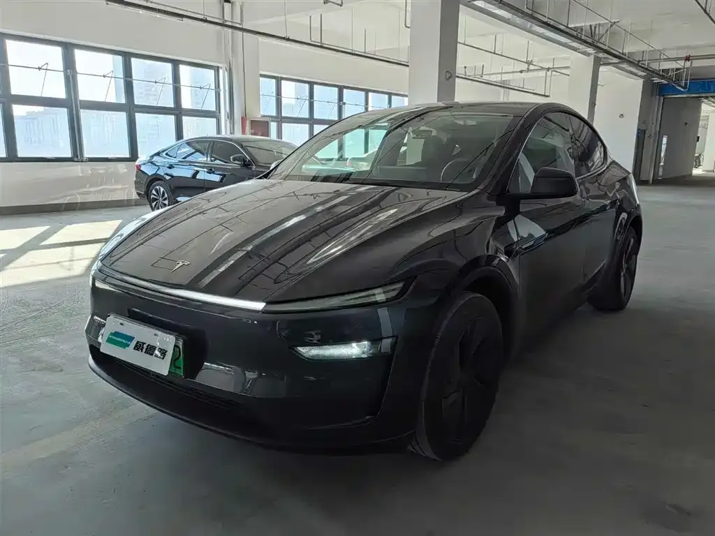 Tesla Model Y 2025 из CN, фото 1