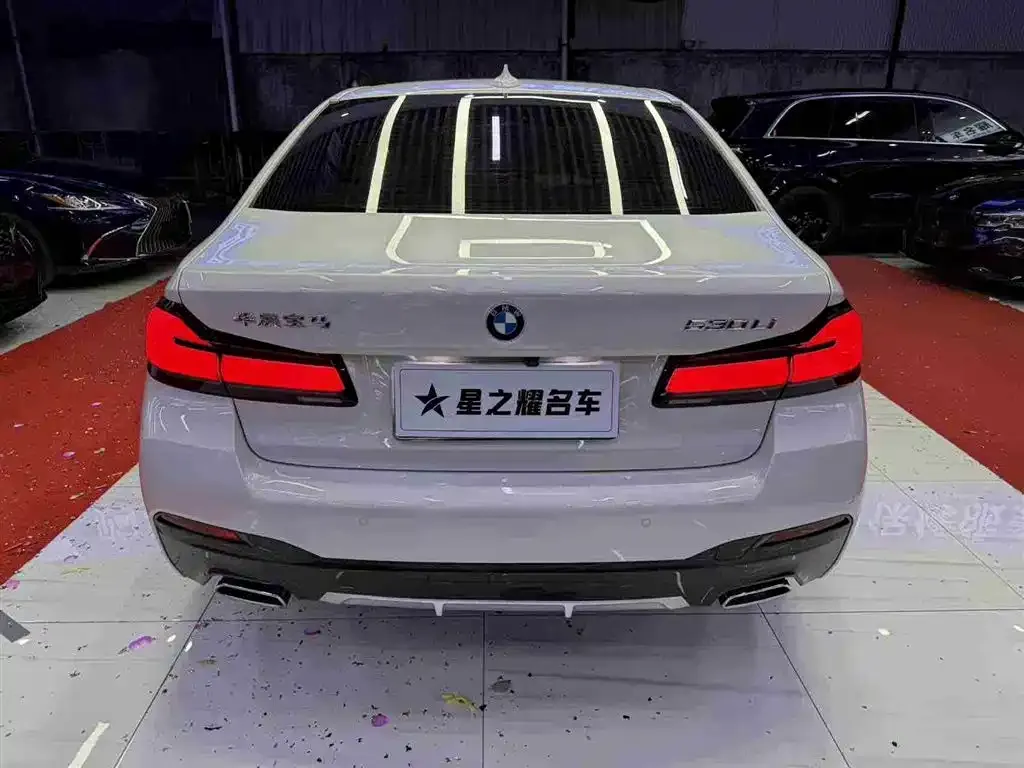 BMW 5 Series 2024 из CN, фото 9