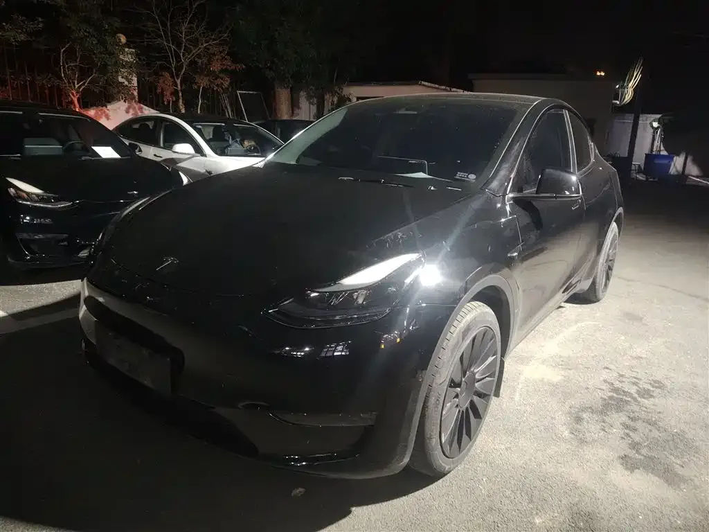Tesla Model Y 2023 из CN, фото 1