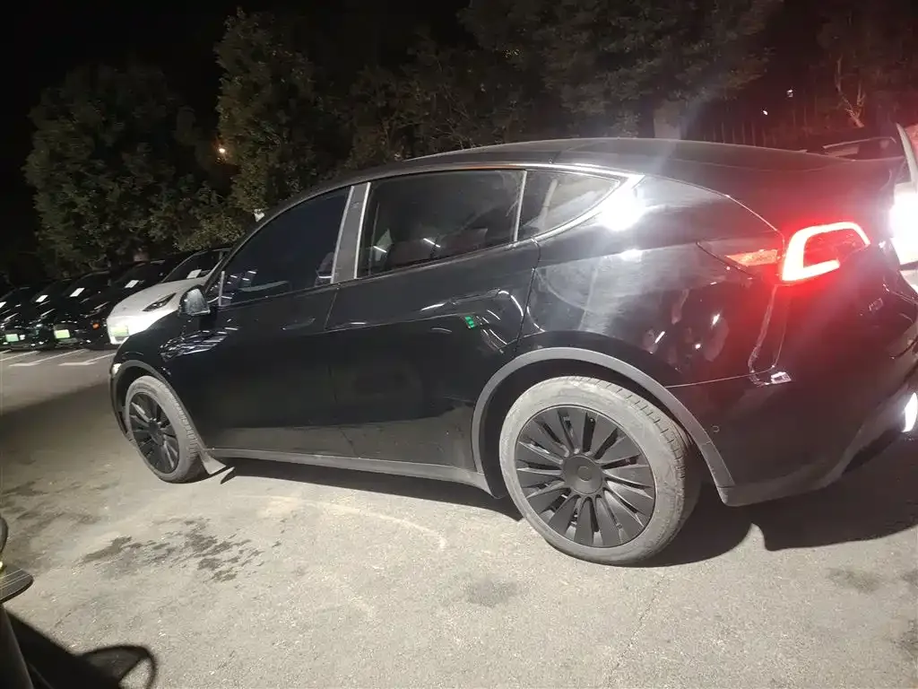 Tesla Model Y 2023 из CN, фото 6