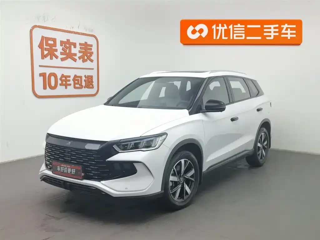 BYD Pro New Energy 2024 из CN, фото 1