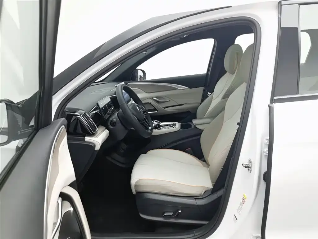 BYD Pro New Energy 2024 из CN, фото 7