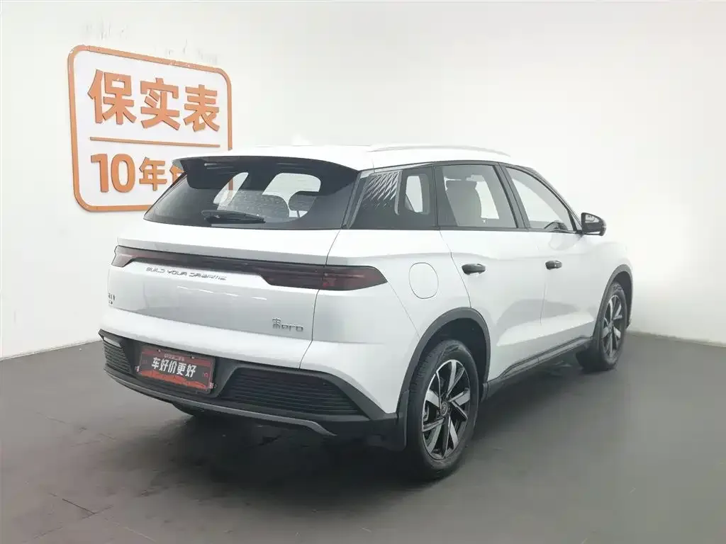 BYD Pro New Energy 2024 из CN, фото 3