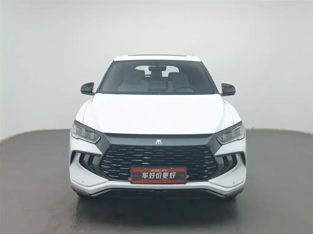 BYD Pro New Energy 2024 из CN, фото 4