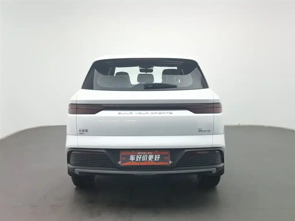 BYD Pro New Energy 2024 из CN, фото 2