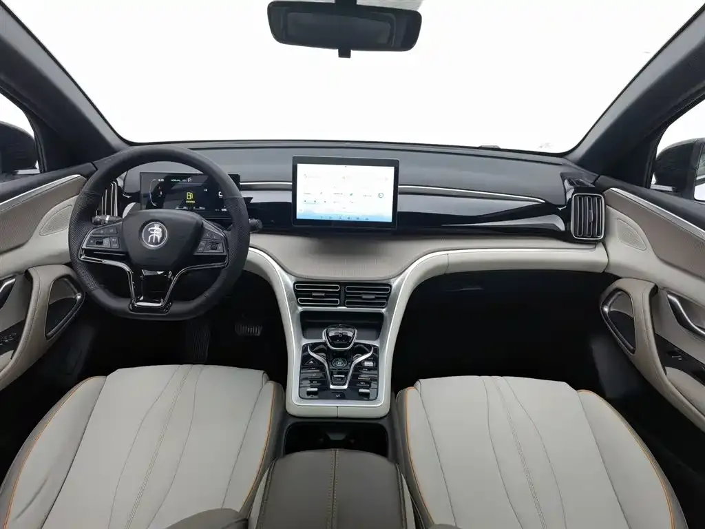 BYD Pro New Energy 2024 из CN, фото 6
