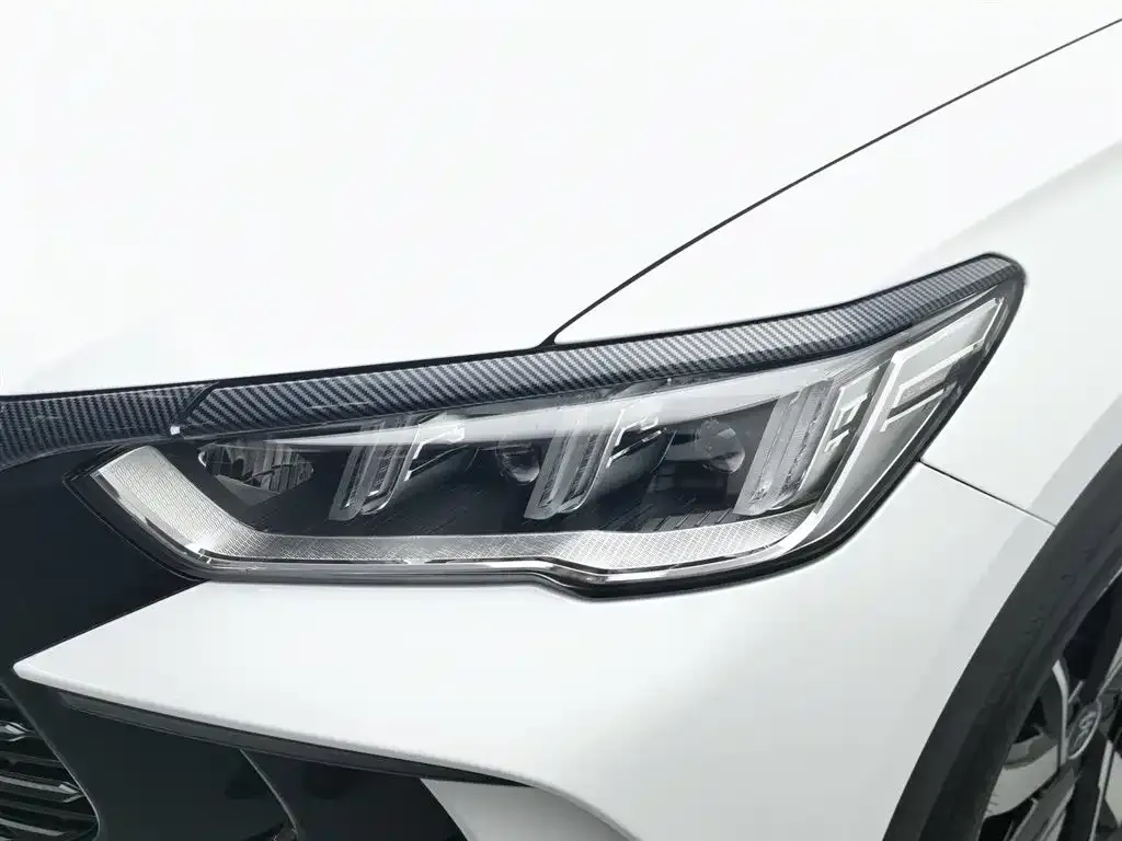 BYD Pro New Energy 2024 из CN, фото 9