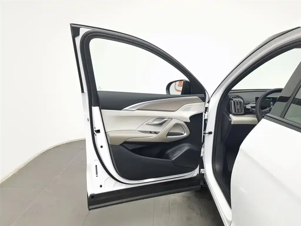 BYD Pro New Energy 2024 из CN, фото 5