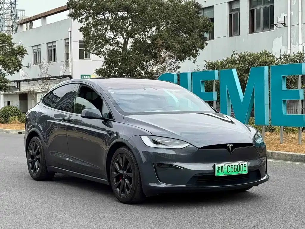 Tesla Model X 2023 из CN, фото 5