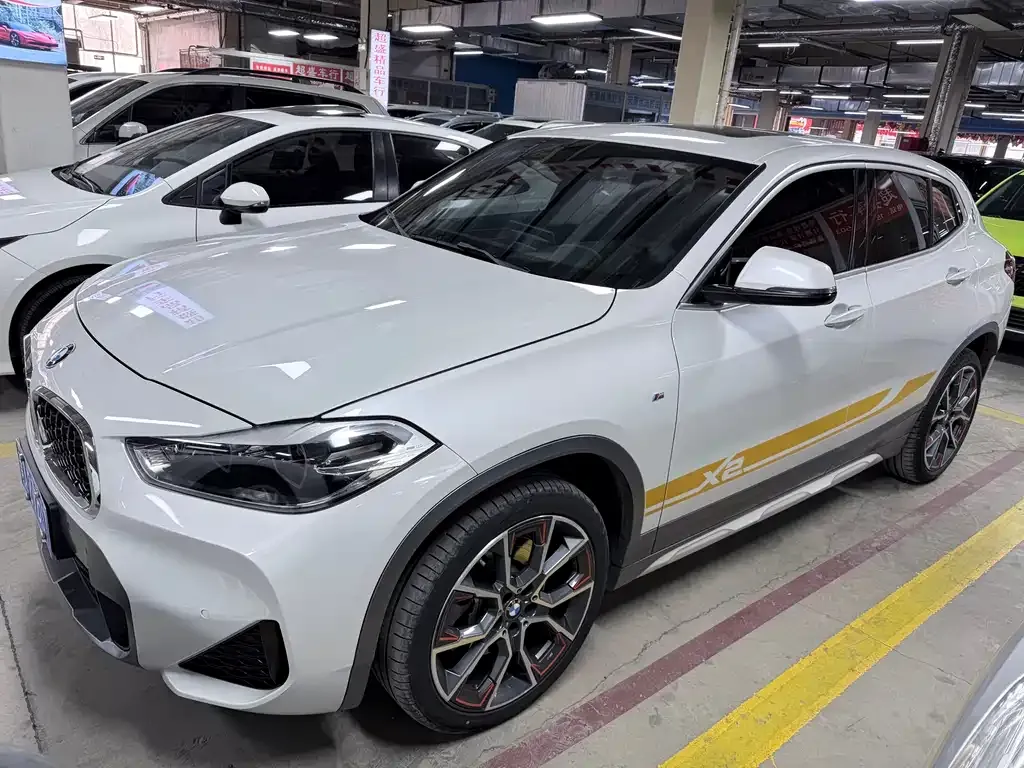 BMW X2 2021 из CN, фото 1