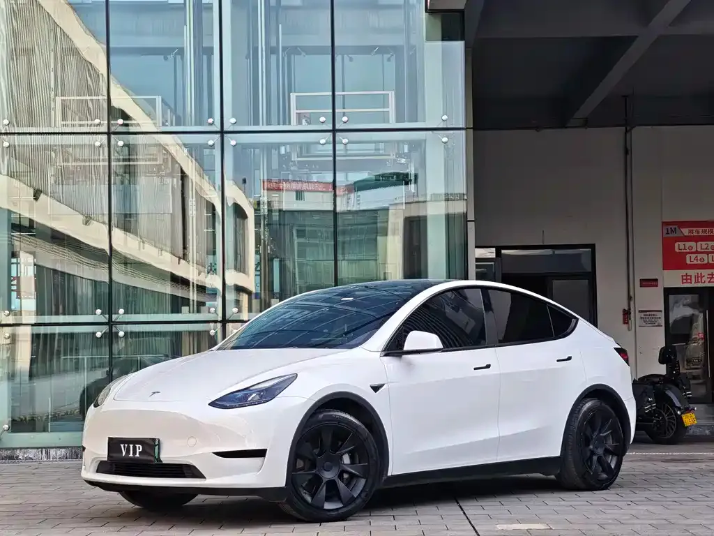 Tesla Model Y 2022 из CN, фото 1
