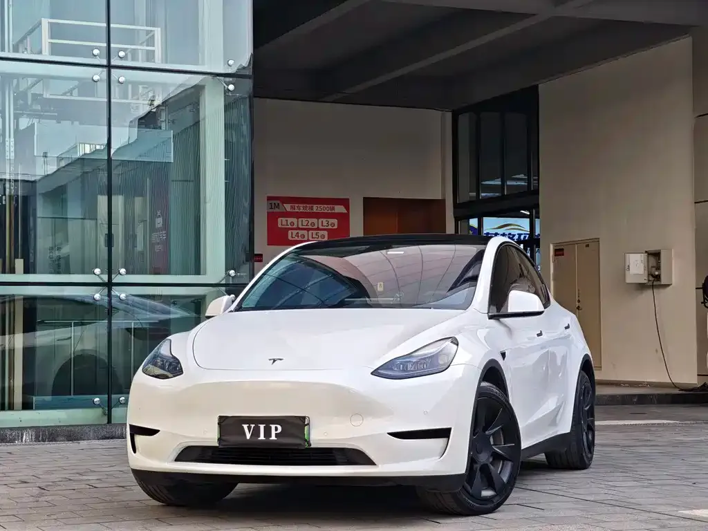 Tesla Model Y 2022 из CN, фото 9