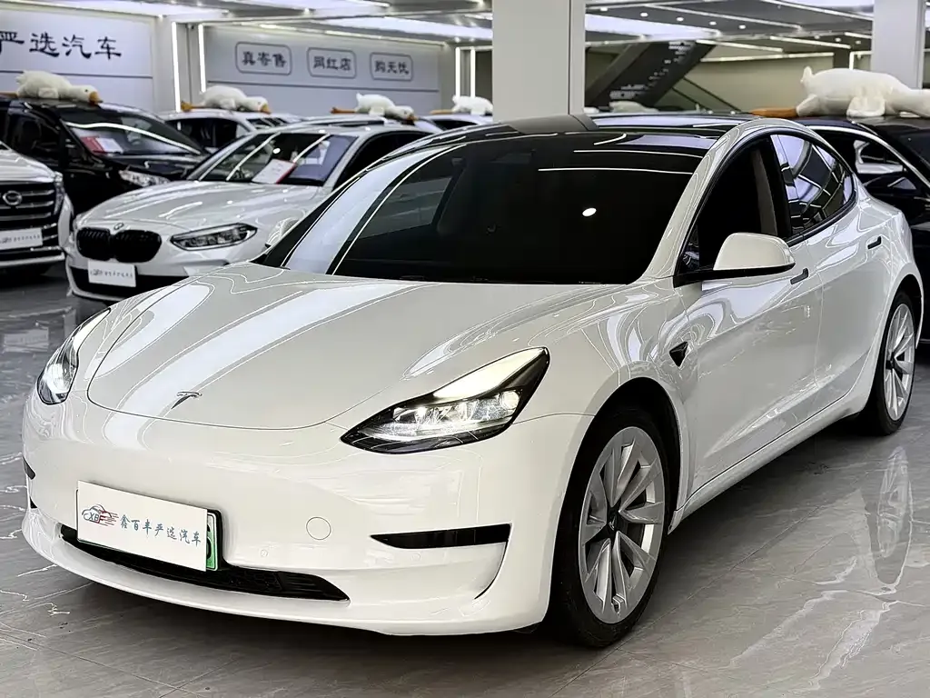 Tesla Model 3 2021 из CN, фото 1