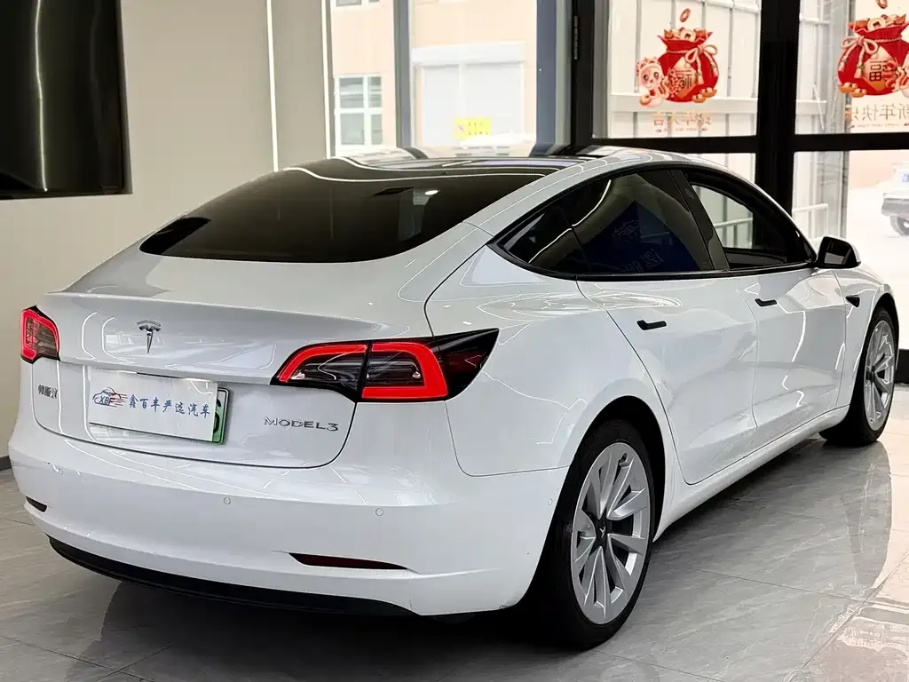 Tesla Model 3 2021 из CN, фото 10