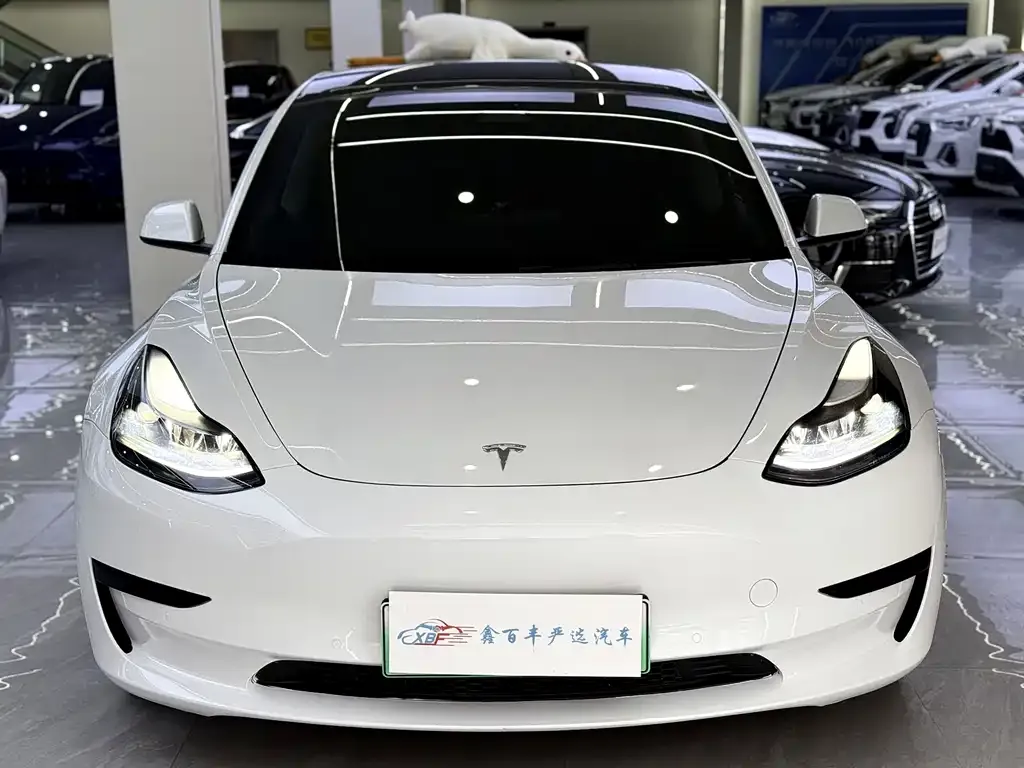 Tesla Model 3 2021 из CN, фото 7