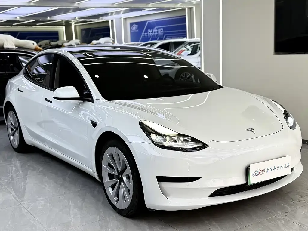 Tesla Model 3 2021 из CN, фото 5
