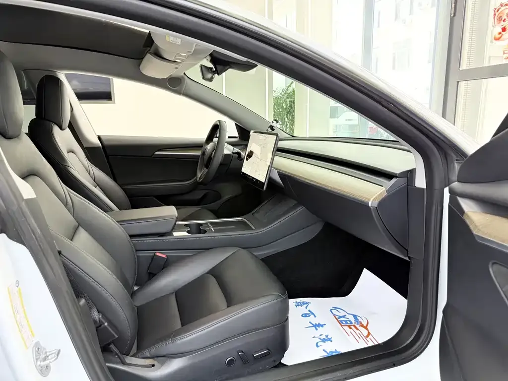 Tesla Model 3 2021 из CN, фото 6