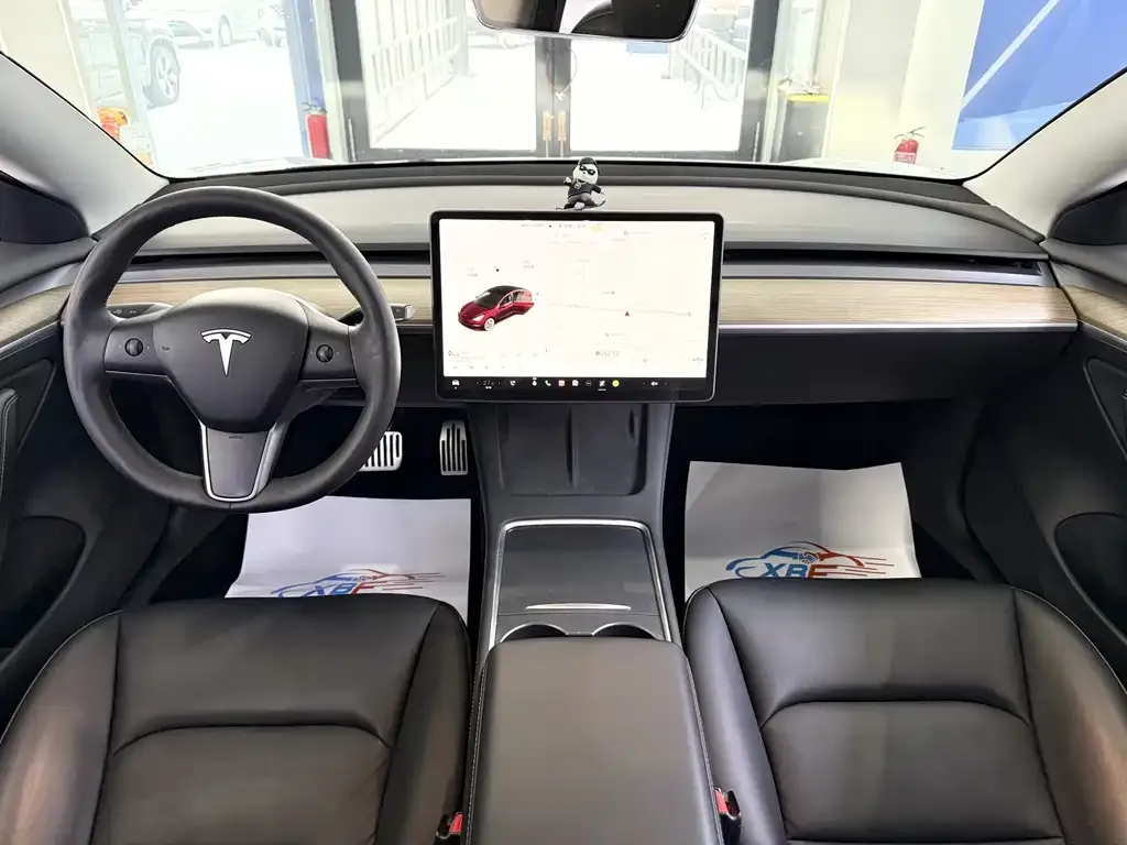 Tesla Model 3 2021 из CN, фото 2