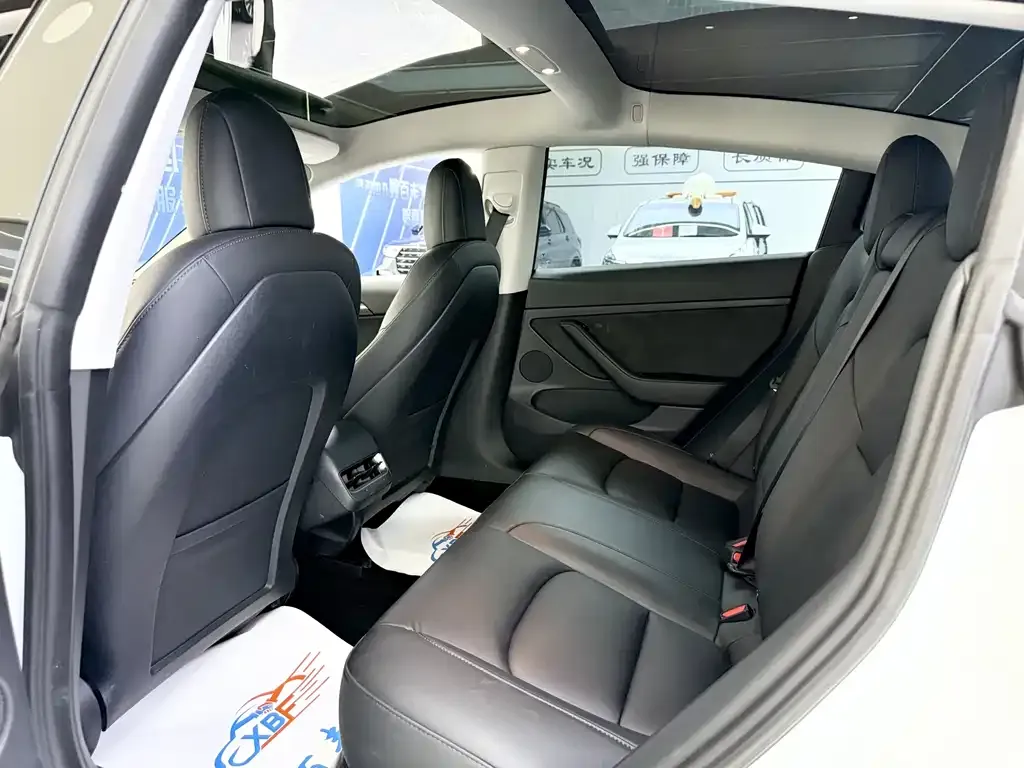 Tesla Model 3 2021 из CN, фото 3