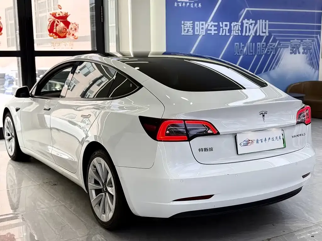 Tesla Model 3 2021 из CN, фото 4