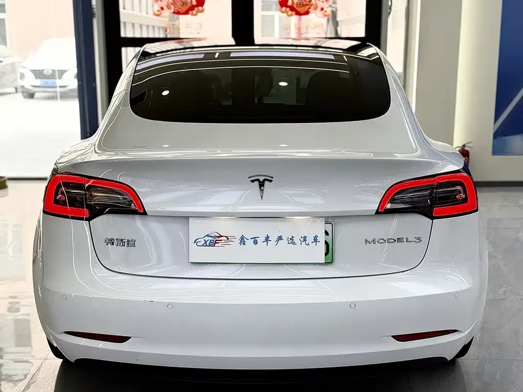 Tesla Model 3 2021 из CN, фото 9