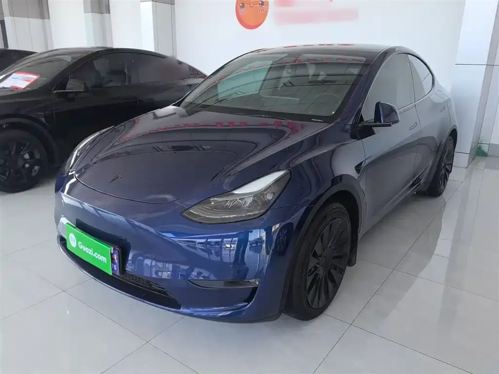 Tesla Model Y 2021 из CN, фото 1
