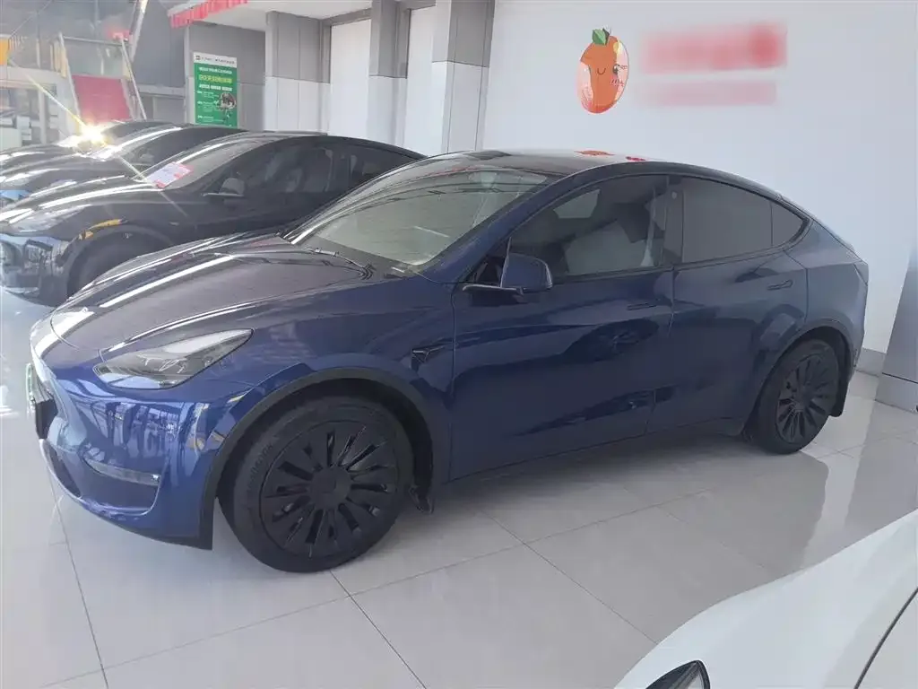 Tesla Model Y 2021 из CN, фото 5