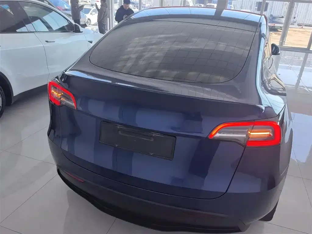 Tesla Model Y 2021 из CN, фото 6
