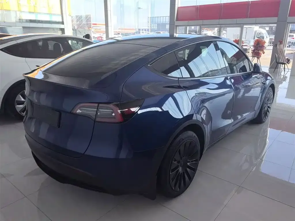 Tesla Model Y 2021 из CN, фото 7