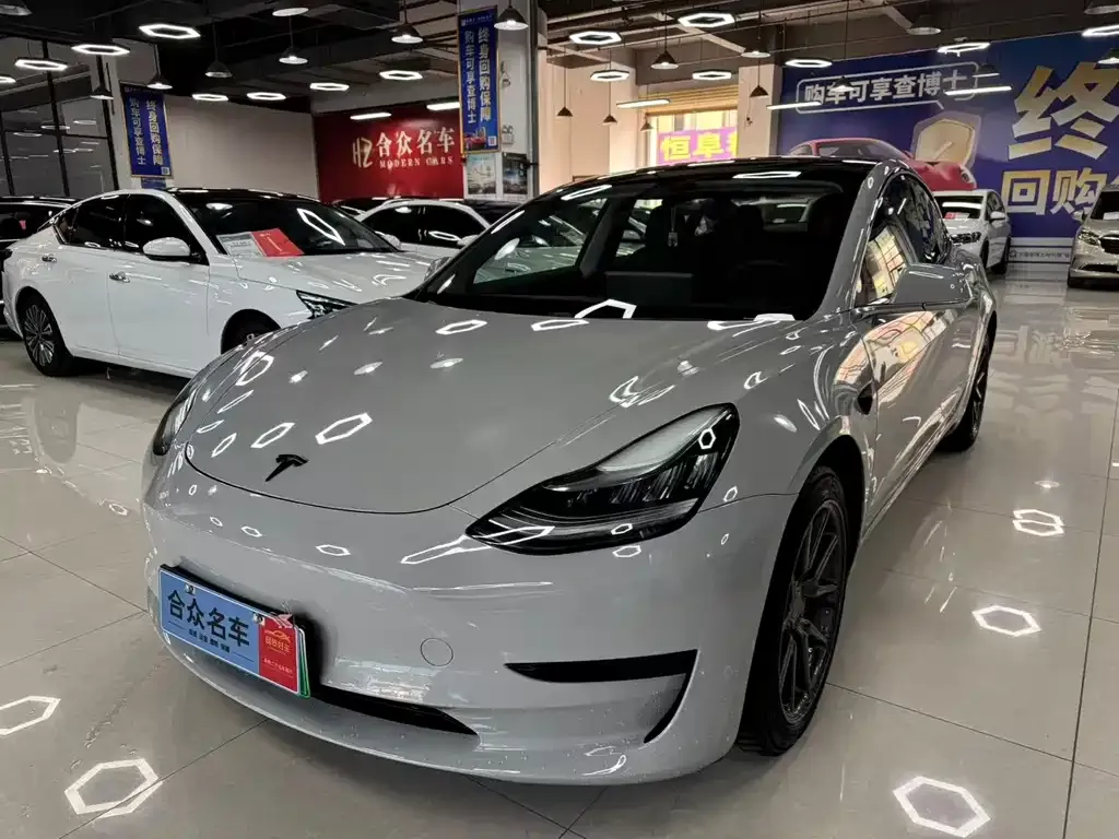 Tesla Model 3 2021 из CN, фото 1