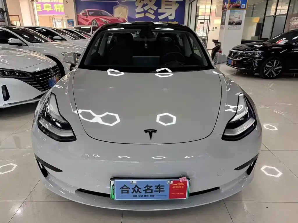 Tesla Model 3 2021 из CN, фото 2