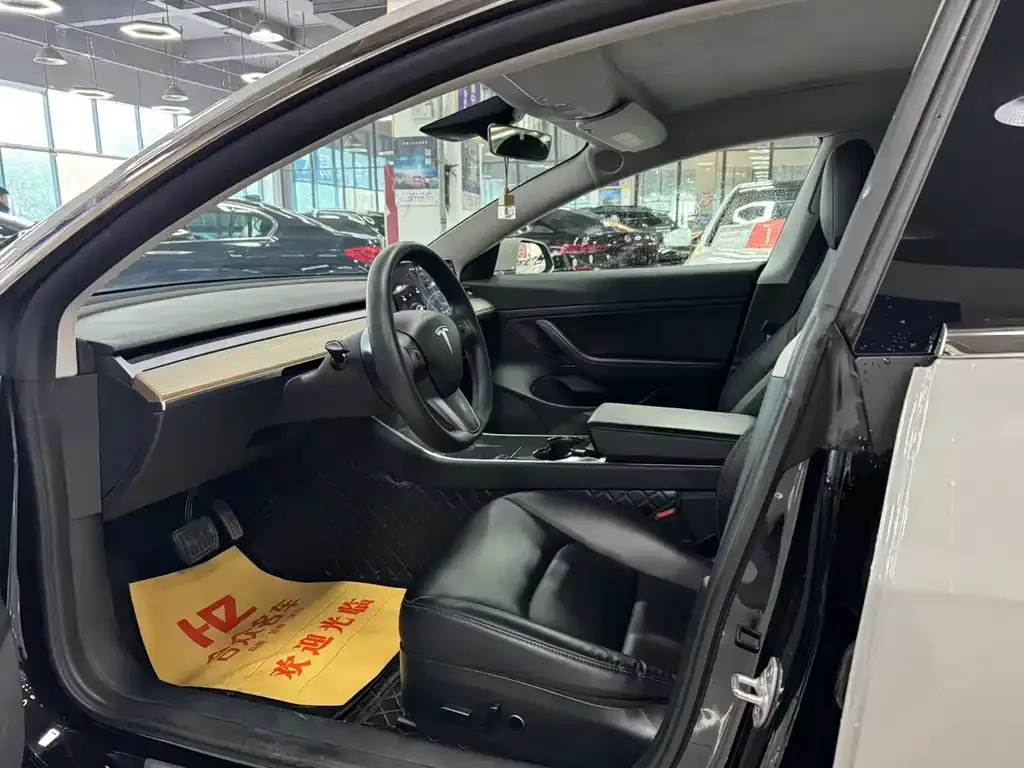Tesla Model 3 2021 из CN, фото 5