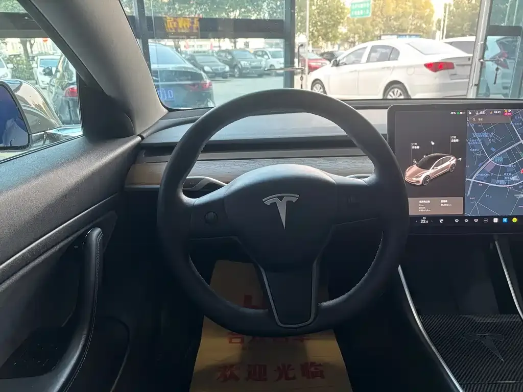 Tesla Model 3 2021 из CN, фото 7