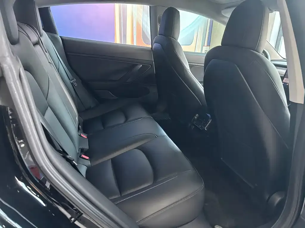 Tesla Model 3 2021 из CN, фото 8