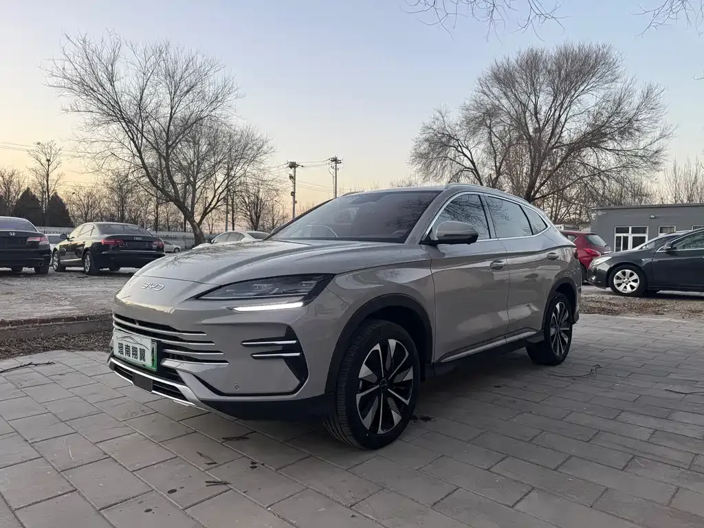 BYD PLUS New Energy 2024 из CN, фото 1