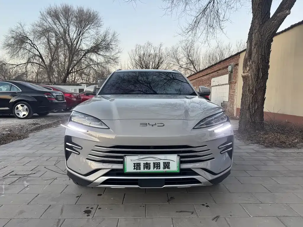 BYD PLUS New Energy 2024 из CN, фото 2