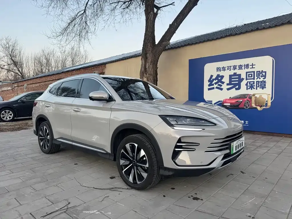 BYD PLUS New Energy 2024 из CN, фото 3