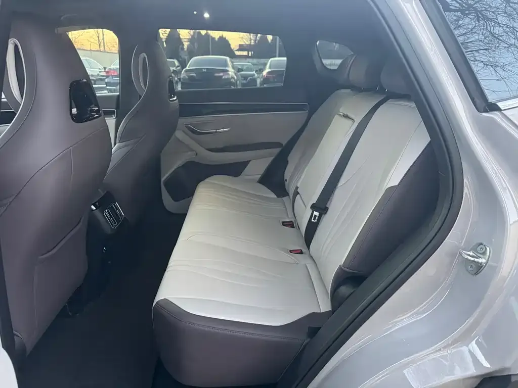 BYD PLUS New Energy 2024 из CN, фото 8