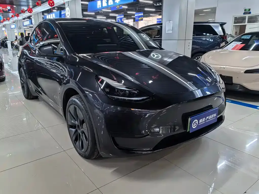 Tesla Model Y 2024 из CN, фото 2
