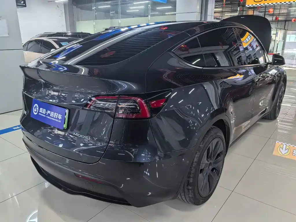 Tesla Model Y 2024 из CN, фото 6
